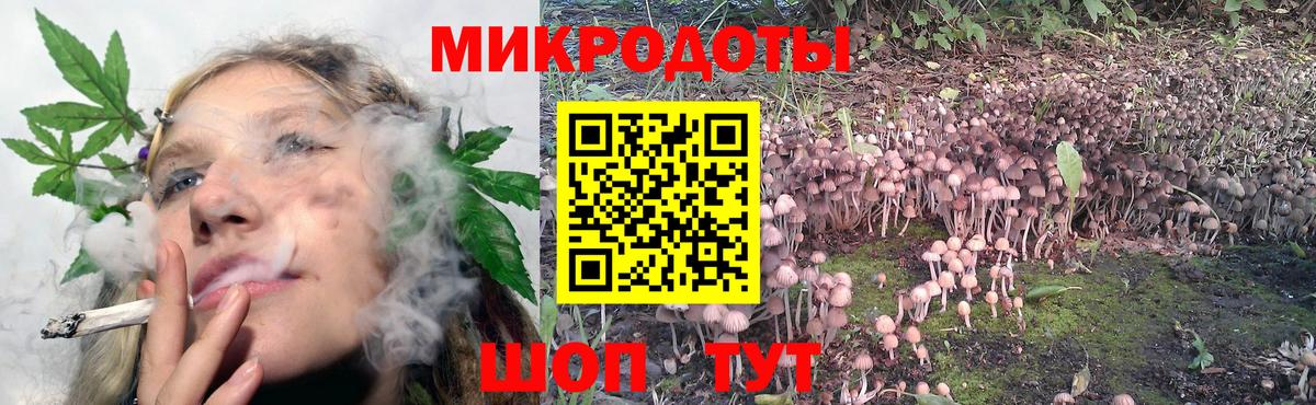 Галлюциногенные грибы прущие грибы Карачаевск