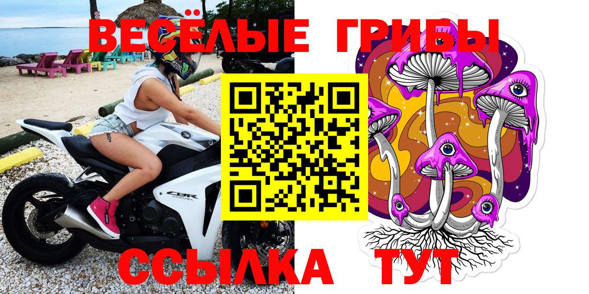 Галлюциногенные грибы ЛСД  Галлюциногенные грибы GOLDEN TEACHER  даркнет сайт  Вход с VPN  Карачаевск 